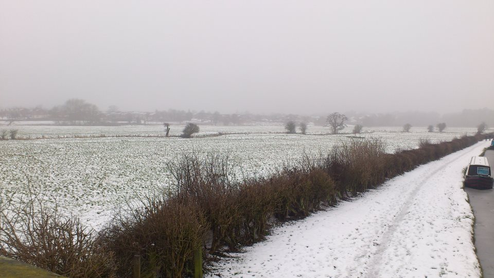 By the canal (Caroline Clancy Harvey)