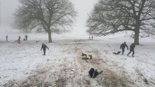 Common Plot sledging - pics by Jamie (1)
