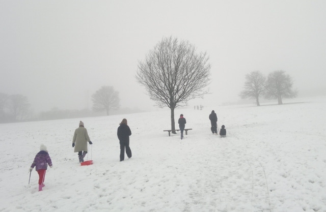 Common Plot sledging - pics by Jamie (3)