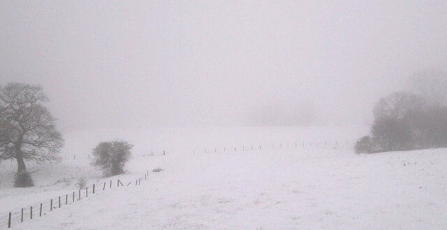 Snowy fields (Jenny Stock)