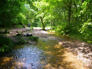 Downs Bank