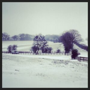 Cars Stuck Fri Afternoon