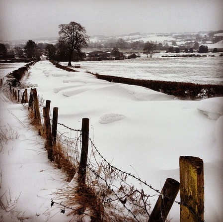 Looking to Rough Close from Oulton Heath - Nick Sigley