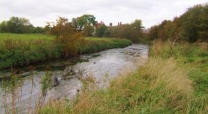 The River Trent running through Crown Meadow
