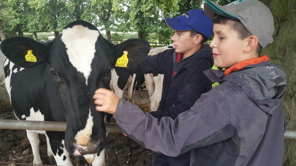 Joel Dart and Dan Weaver at Aston Pool Farm (2)