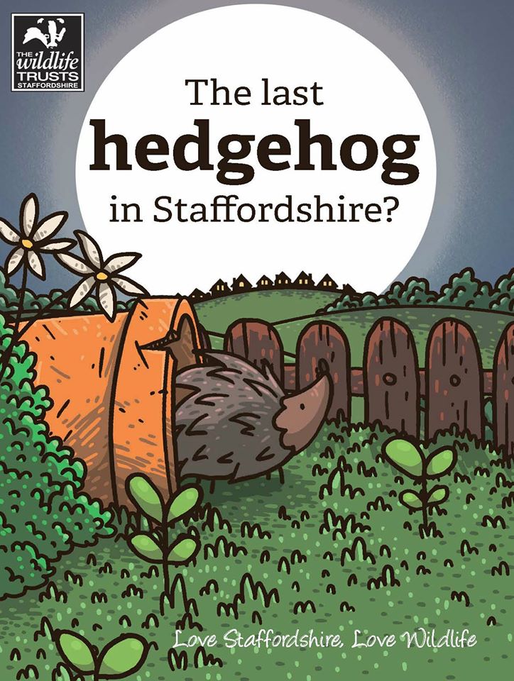 hedgehogbook