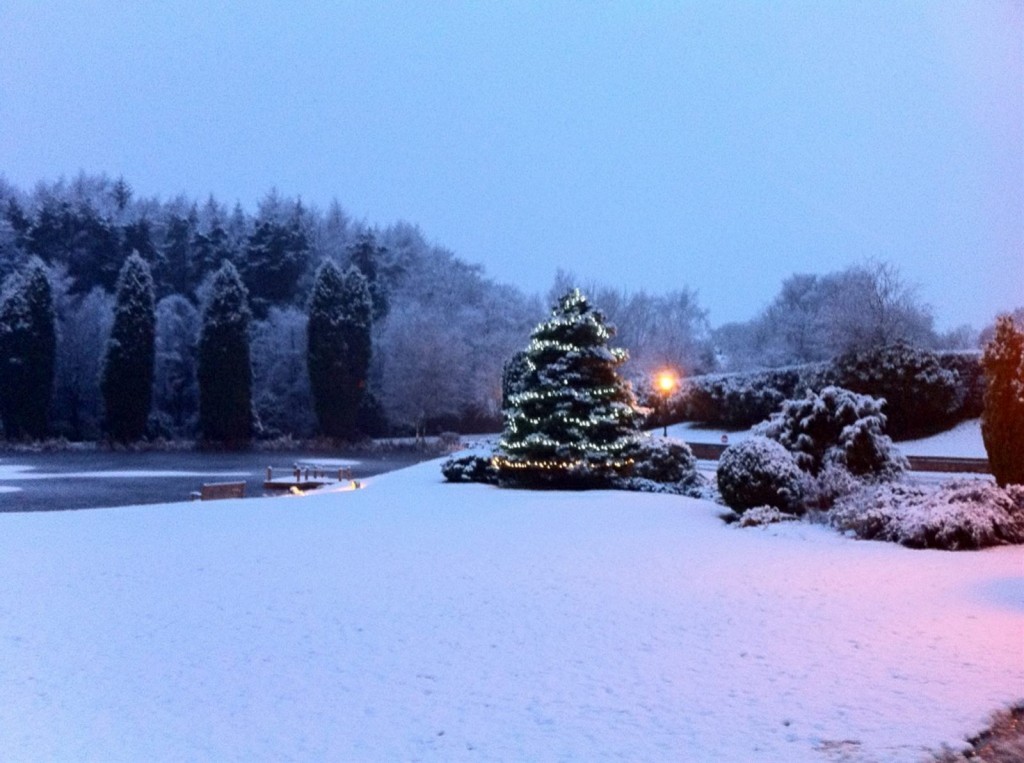 Stone Christmas Moddershall Oaks tree
