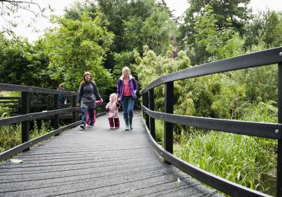 Staffordshire Wildlife Trust
