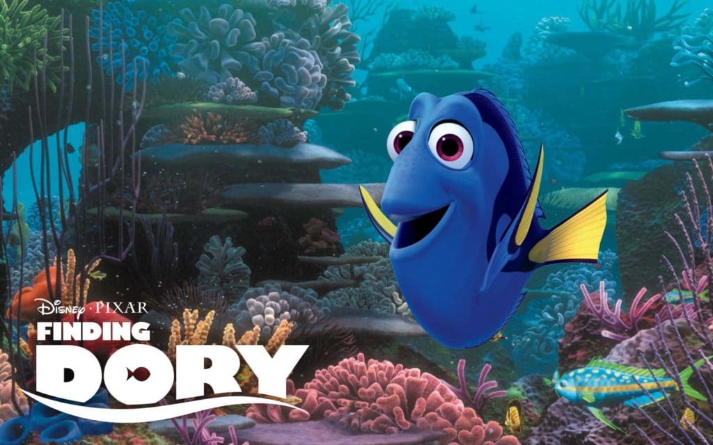 dory