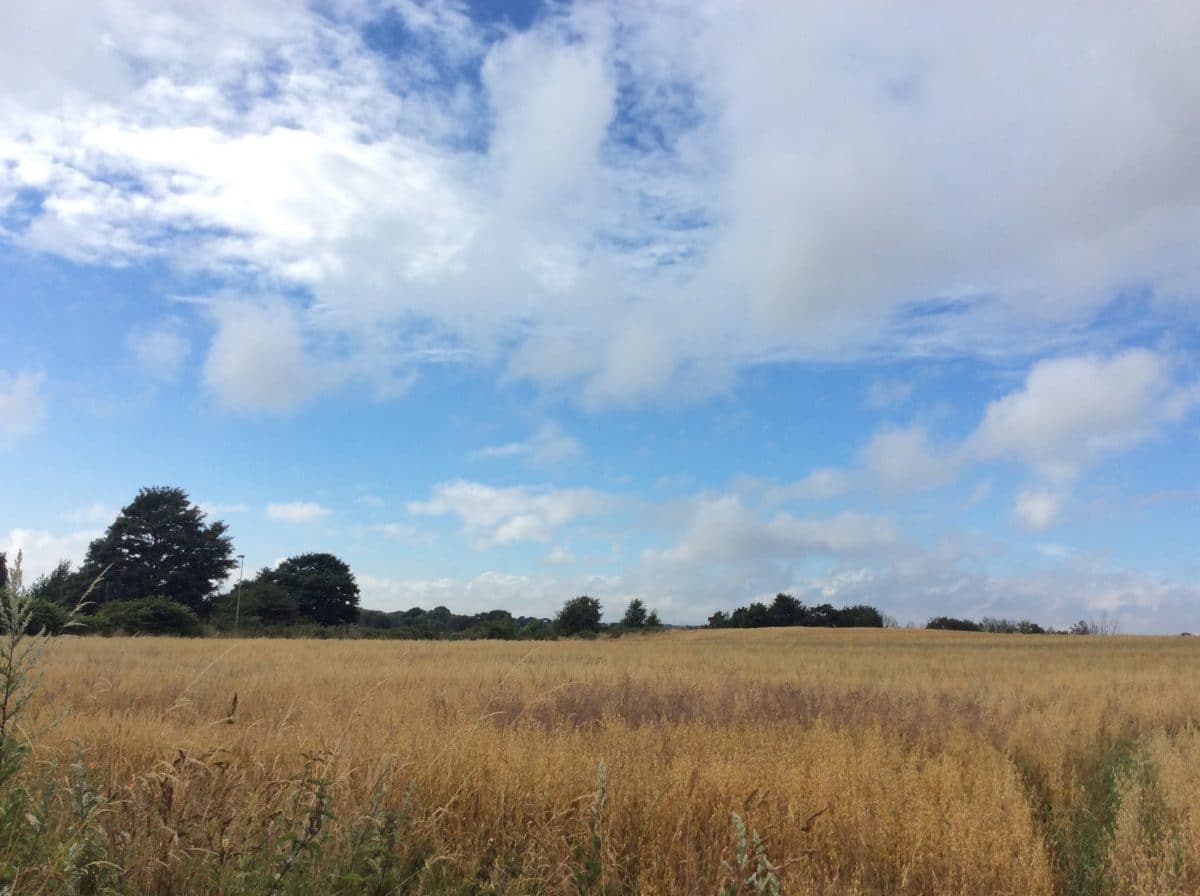 ba8e5cda35f96fa88da6415ce8bbe776