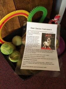 sparky_s-box-of-tricks-at-the-borehole