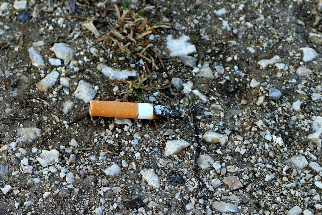 Discarded Cigarette Butt