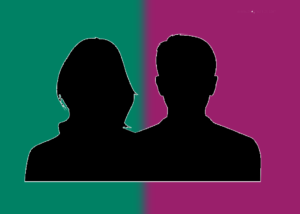 2019 Elections - Standing as a councillor