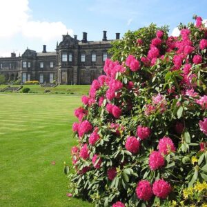 Sandon Hall Flower Fair