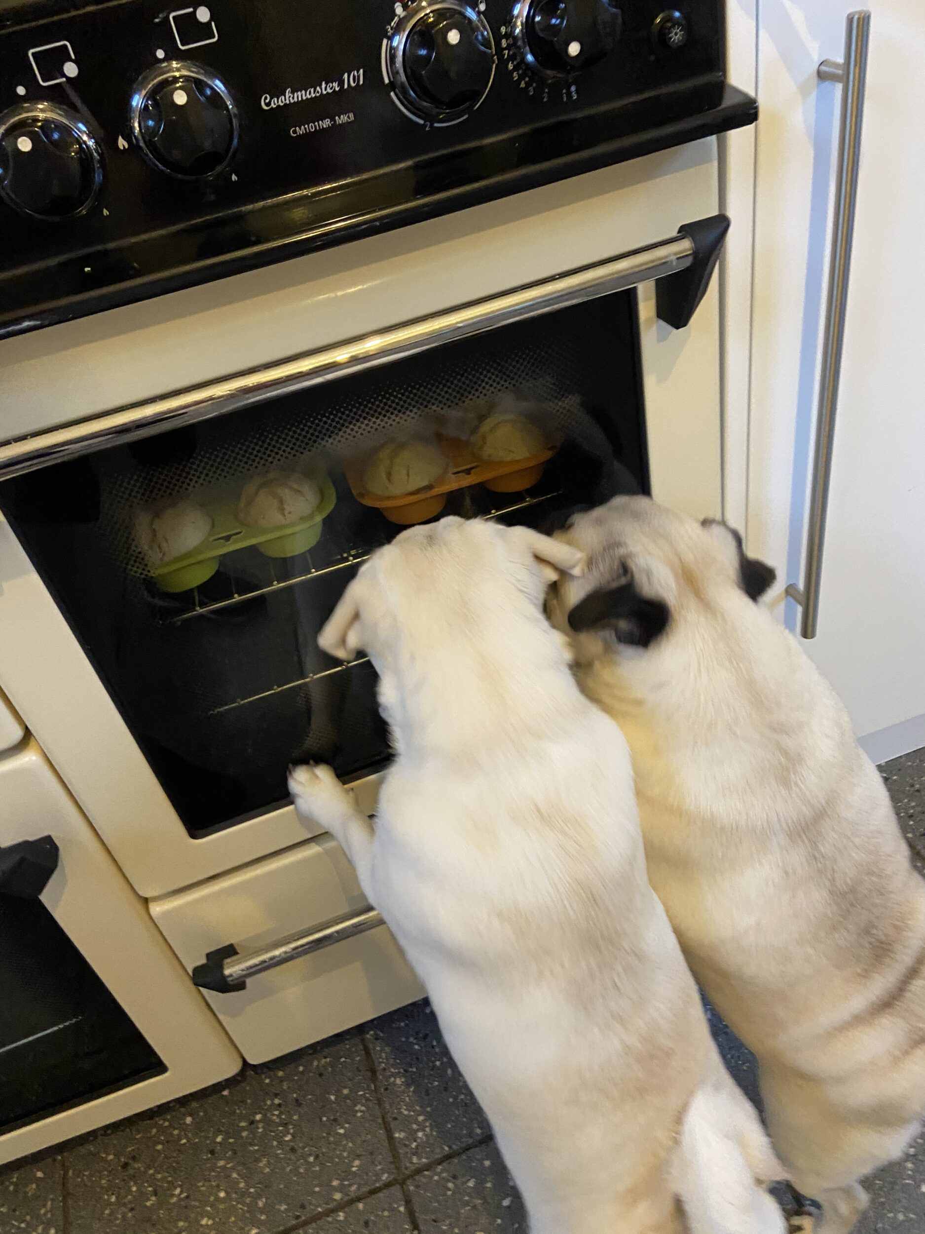 The Hound Lounge & Barkery