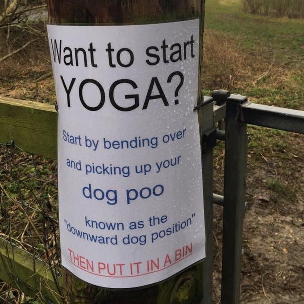 Dog Poo Yoga