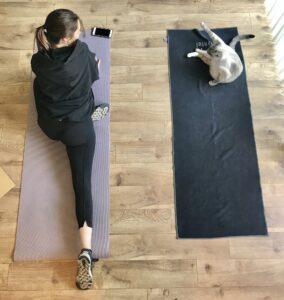 Young millennial woman working out from home stretching and doing yoga with her pet cat.
