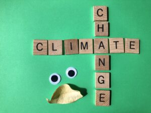 Climate Change crossword with googly eyes and dry leaf isolated on green background