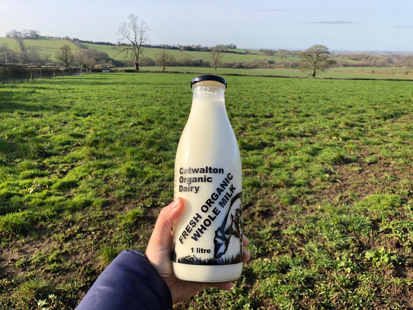 Cotwalton Organic Dairy