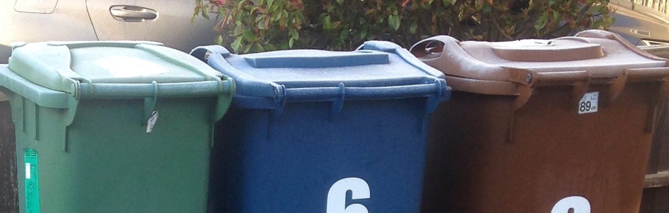 A row of bins in Stafford Borough