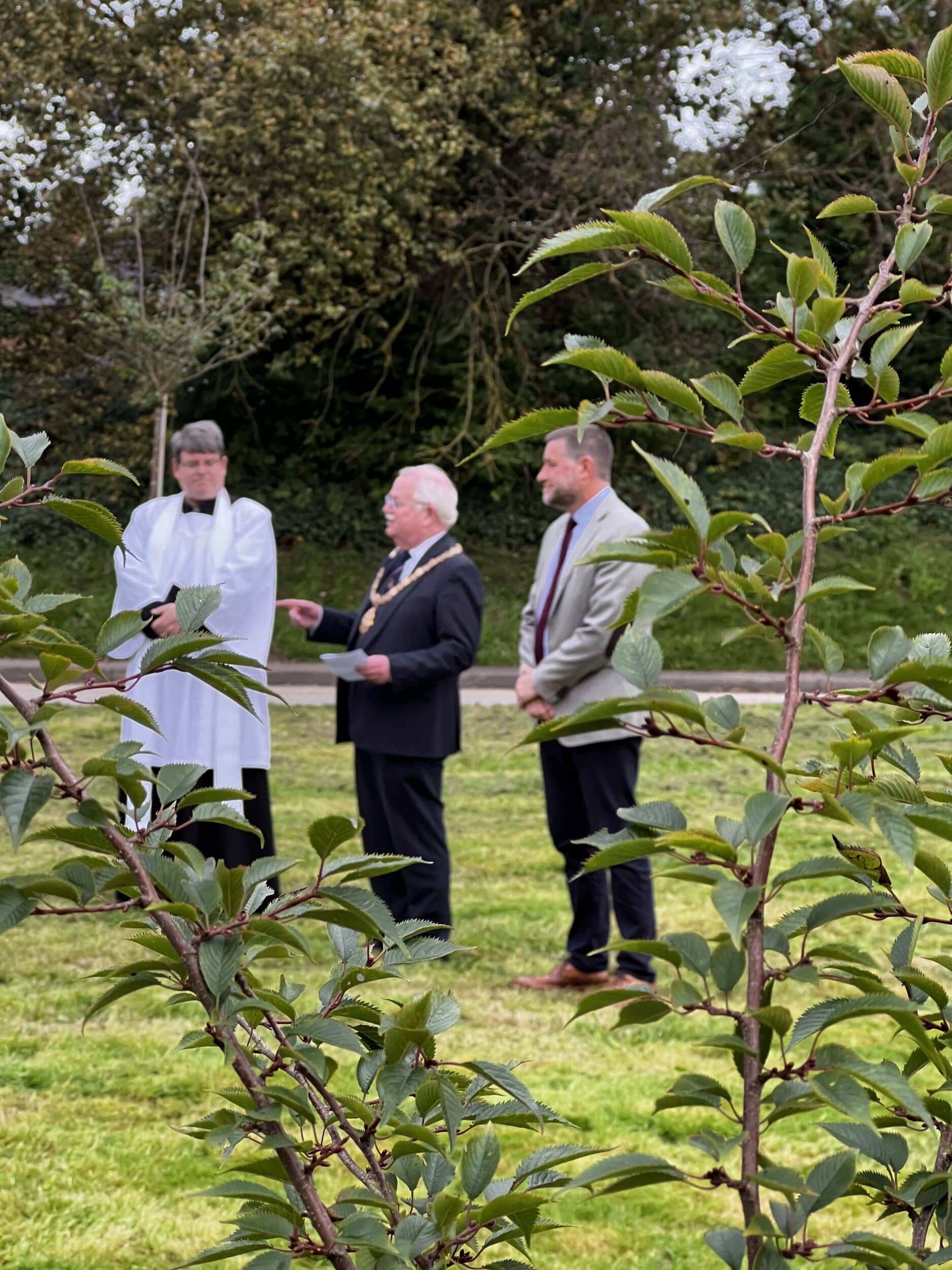 Stone Covid 19 Orchard