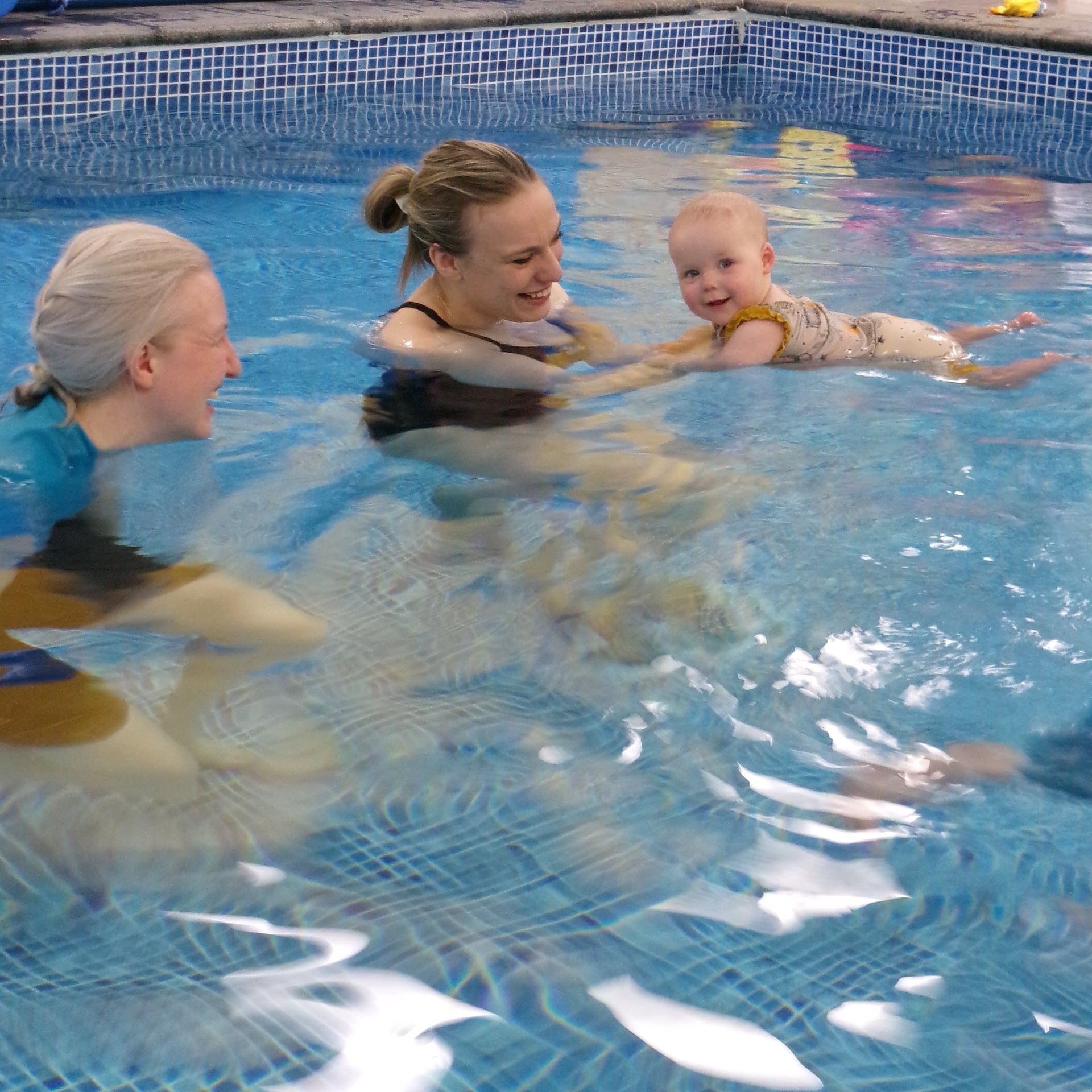 Puddle Ducks - Stone