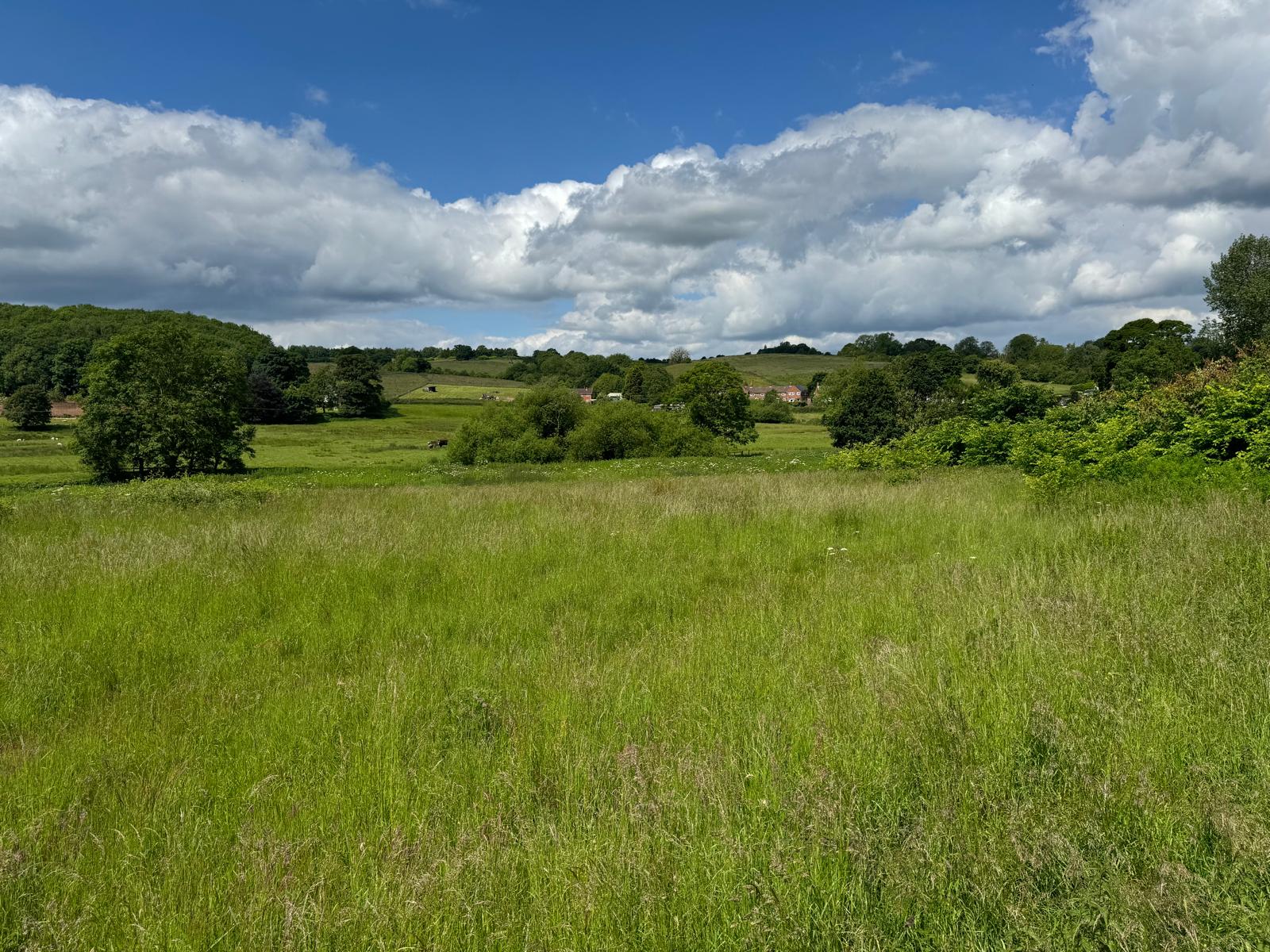 View across drive through site