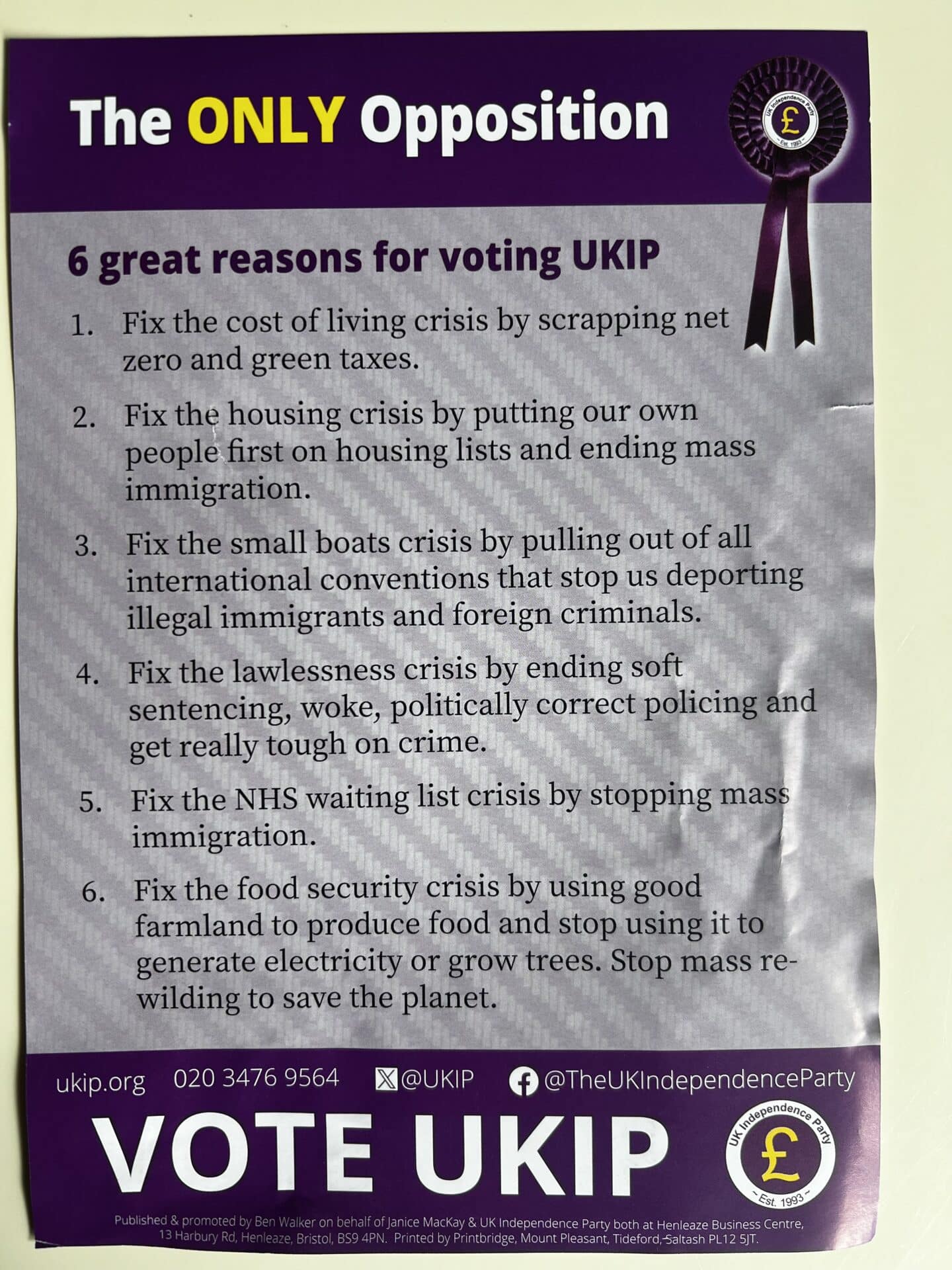 Janice MacKay UKIP Leaflet Side 2