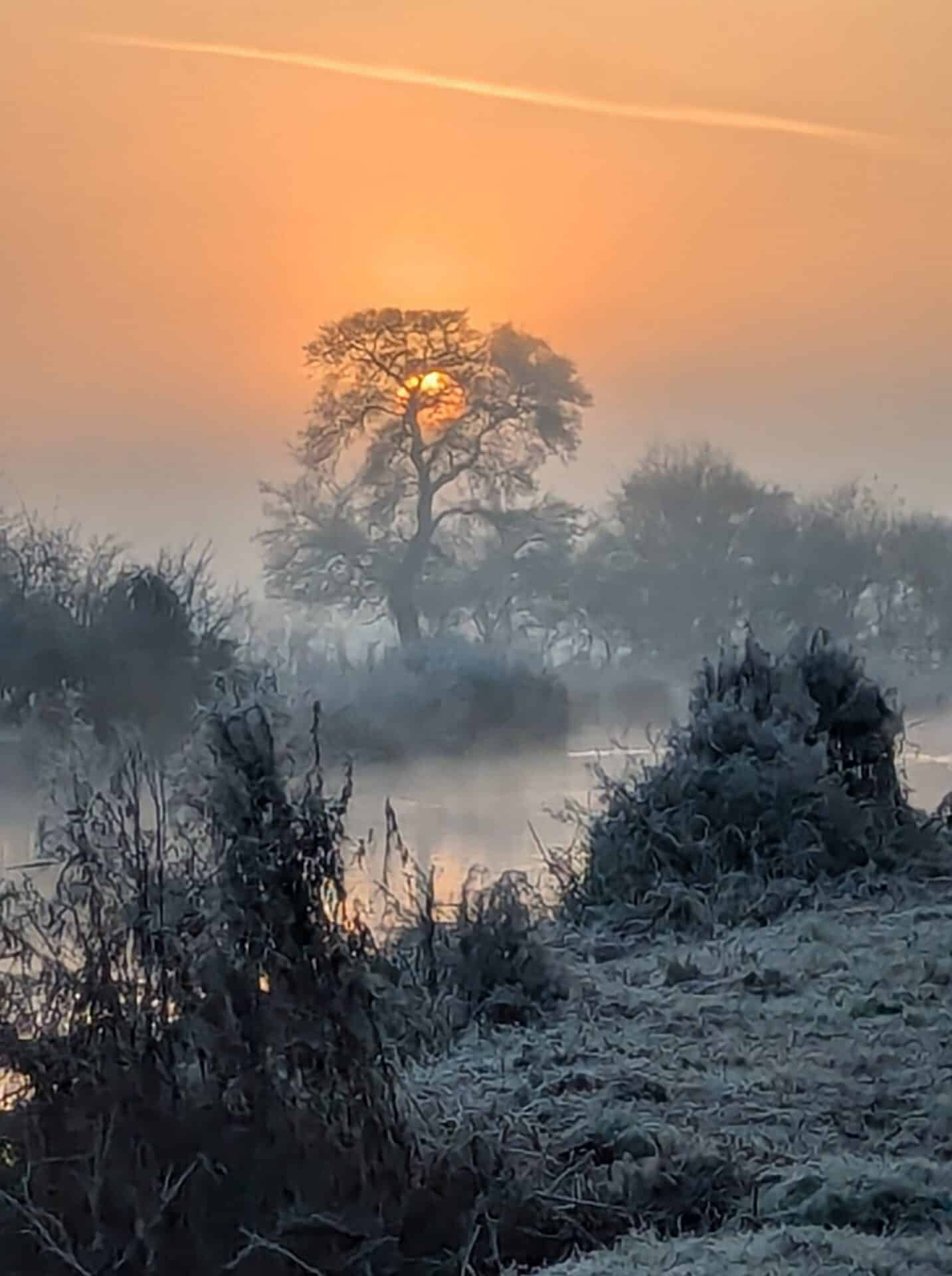 Nigel Bowden
Canal towpath near Aston marina
28th Nov 2024