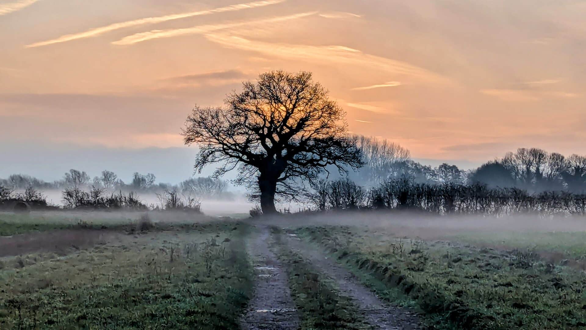 Nigel Bowden
The fields in Aston
4th Dec 2024