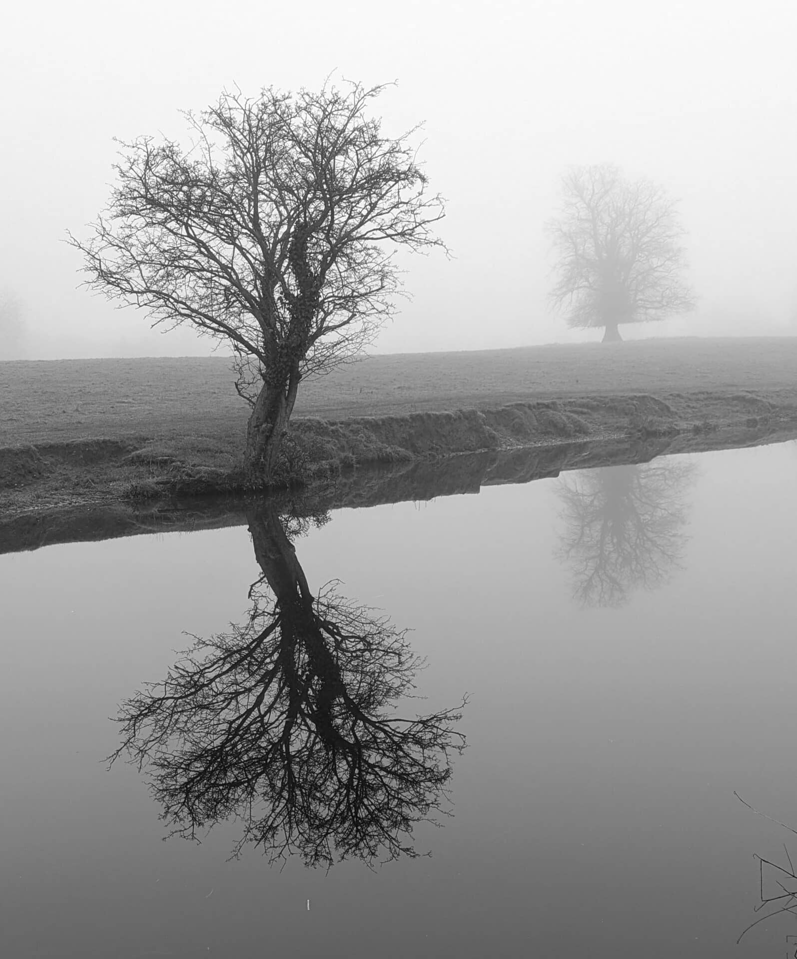 Nigel Bowden
Canal towpath Aston to Burston on a foggy day
26th Dec 2024
