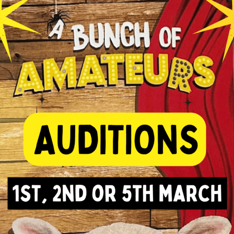 A Bunch of Amateurs Audition Poster