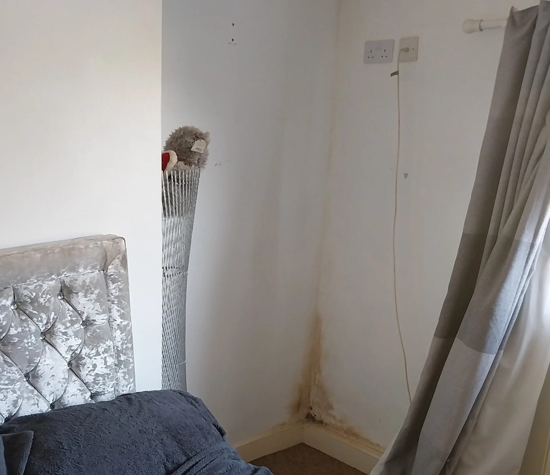 mould in the corner of a bedroom at the property