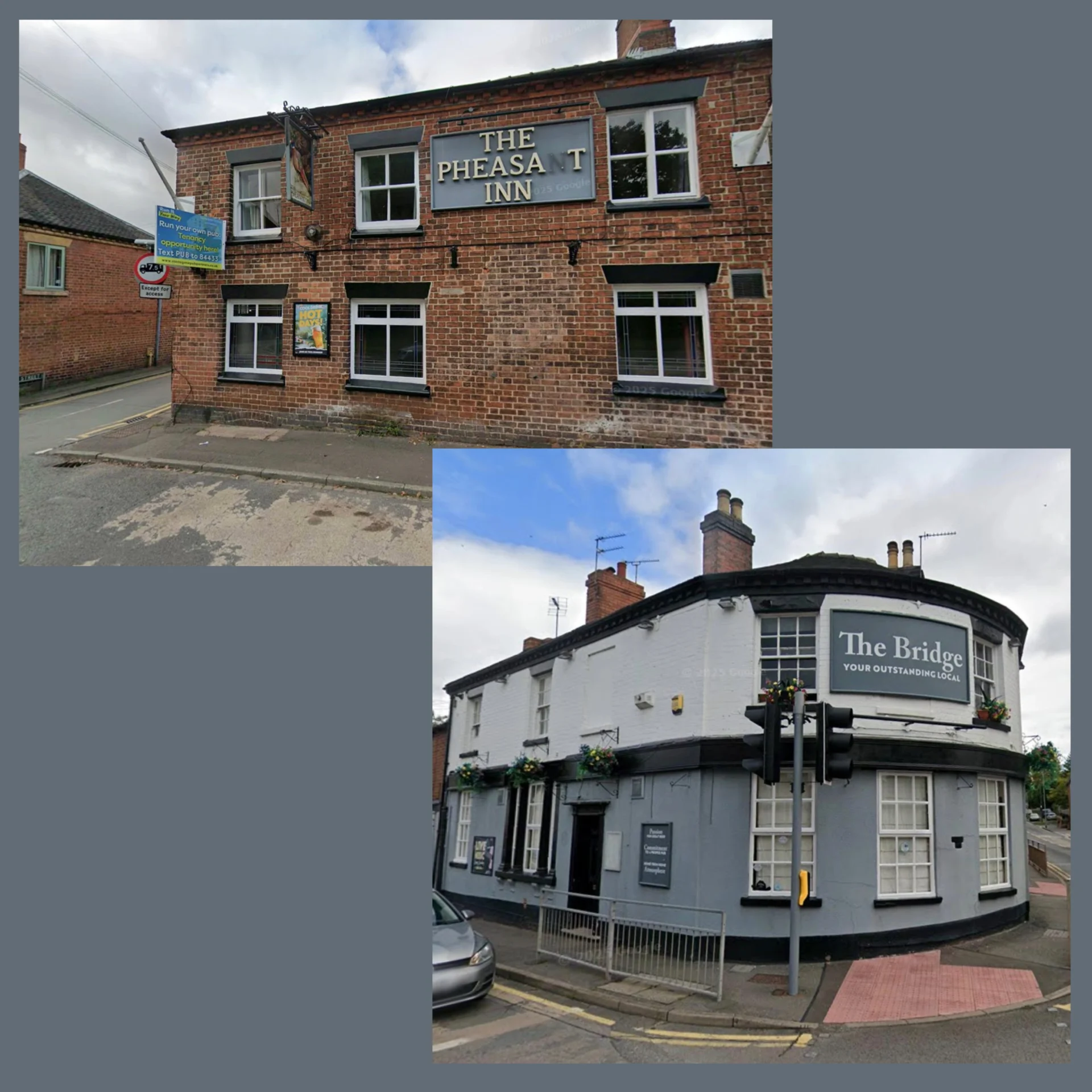 The Bridge and The Pheasant