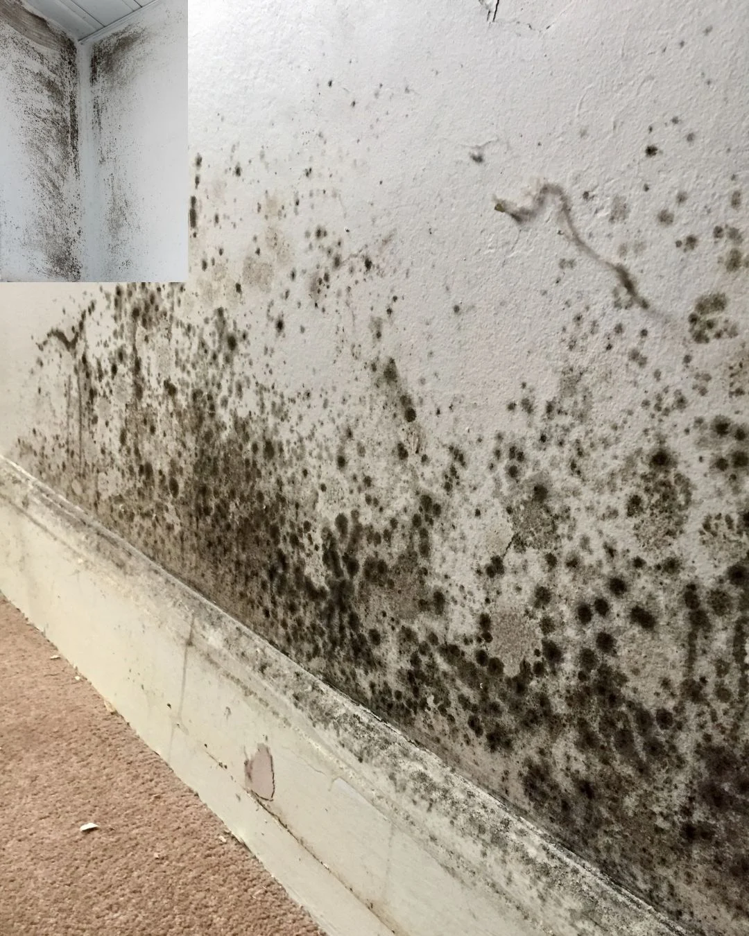 Mould Walls