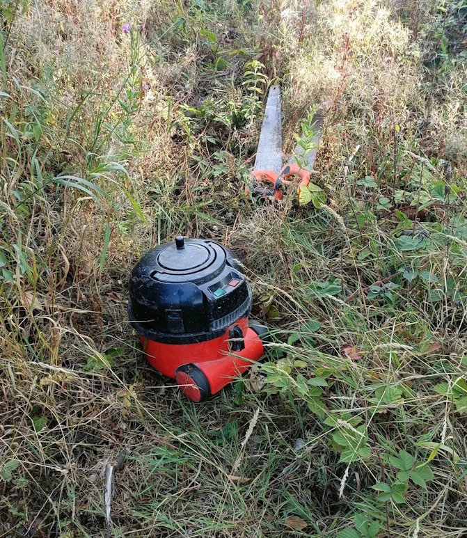 A discarded red and black vacuum cleaner and two hand saws lying among overgrown vegetation.