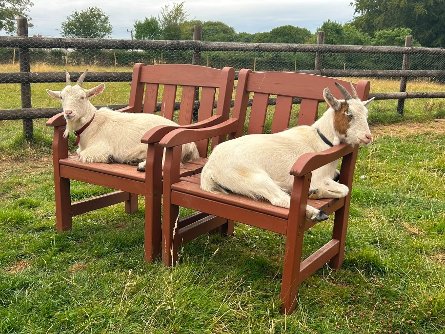 Farmhouse Raffle