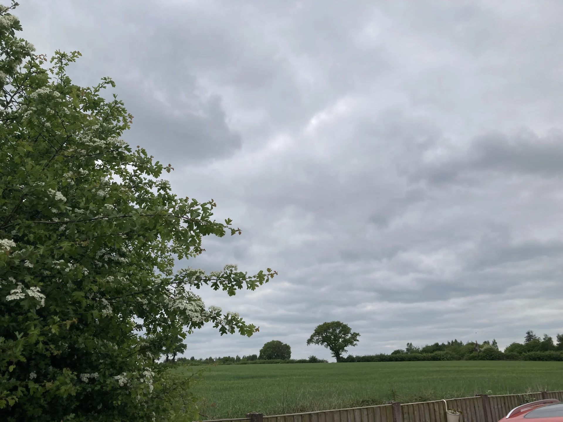 Land off Marlborough Road