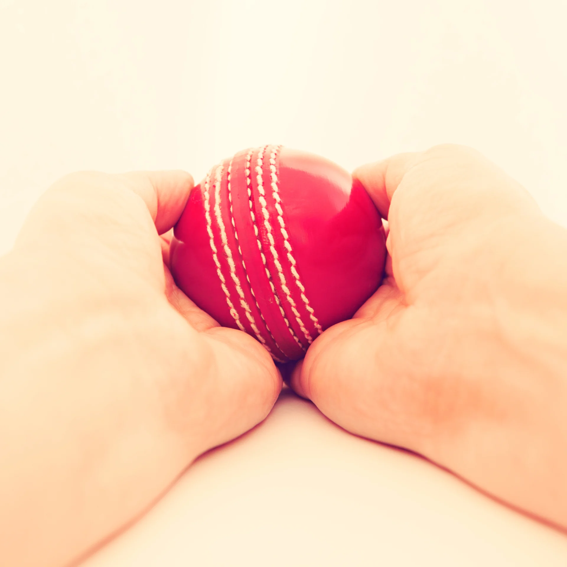 Cricket ball in hands
