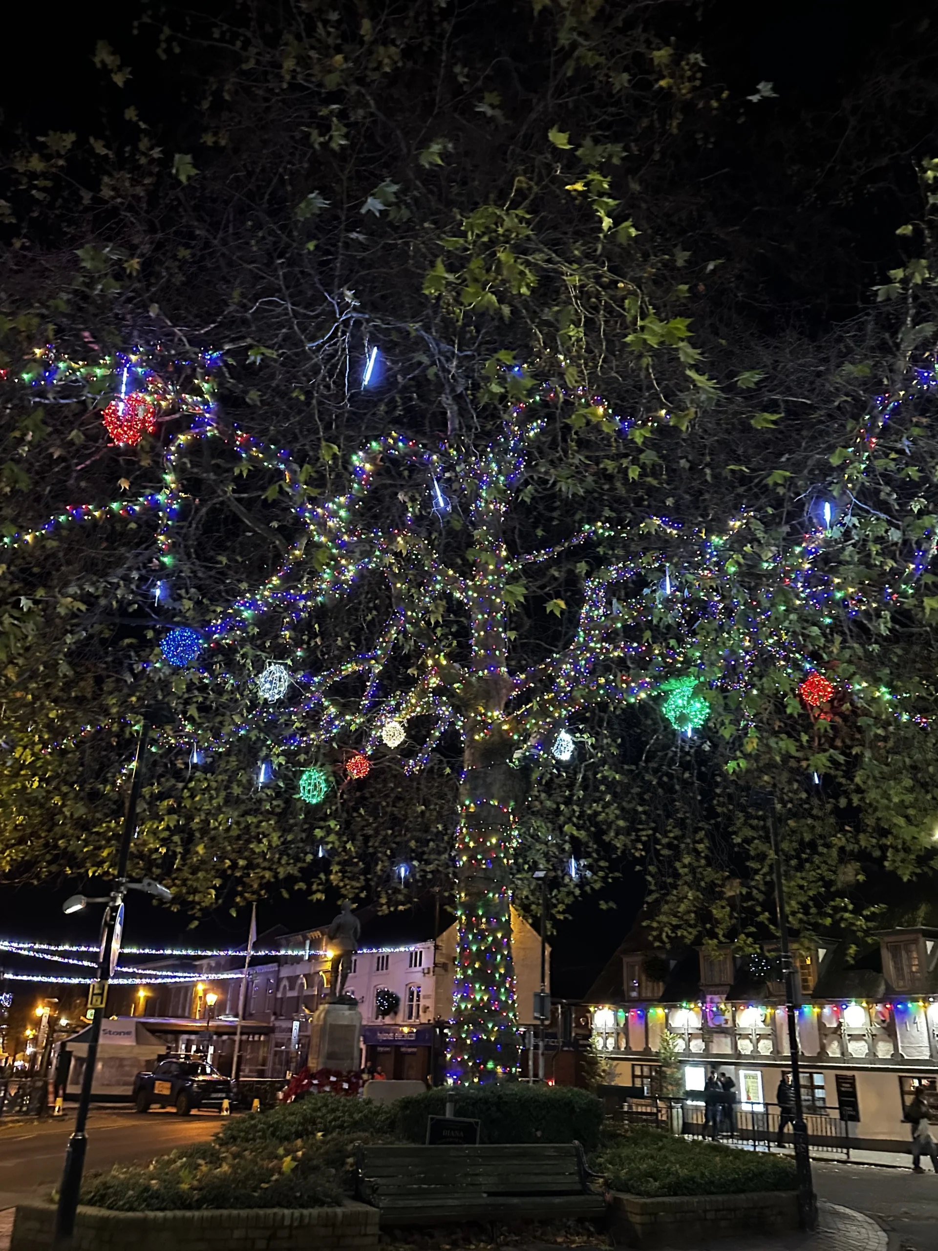 The Plane Tree - Stone Christmas Lights 2025