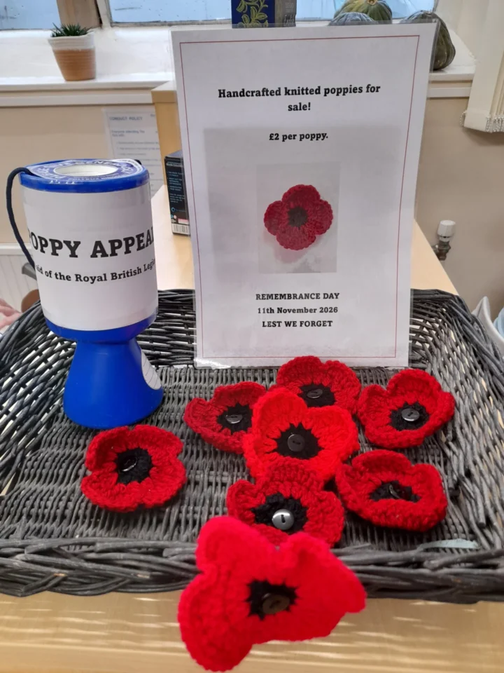 Poppy appeal display